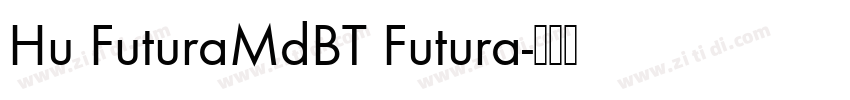 Hu FuturaMdBT Futura字体转换